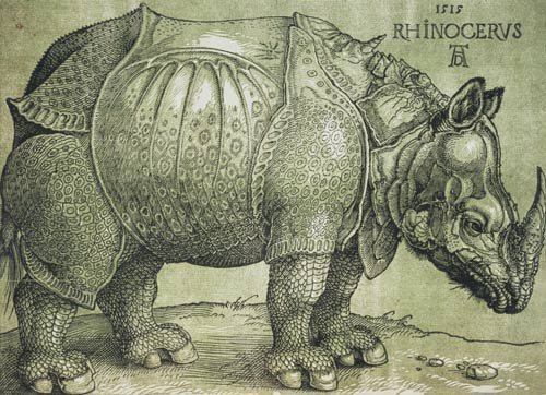 Rinocer, opera a renumitului pictor,grafician, matematician si teoretician al artei germane, Albrecht Dürer (1471-1528).